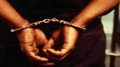 सीतामढ़ी में पुलिस और STF का संयुक्त ऑपरेशन, कपूर झा गैंग के 3 शूटर गिरफ्तार