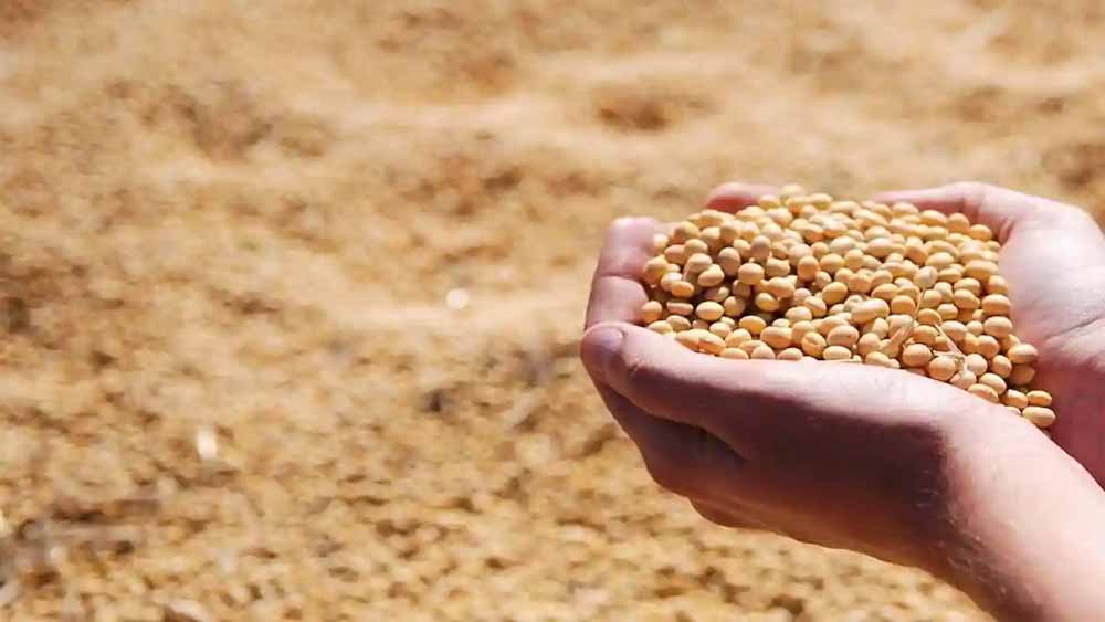 भावांतर योजना के लिए हेल्पलाइन कॉल सेंटर प्रारंभ भावांतर योजना के लिए हेल्पलाइन कॉल सेंटर प्रारंभ