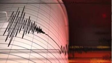 गुजरात में डोली धरती! राजकोट समेत कई जिलों में भूकंप के झटके महसूस गुजरात में डोली धरती! राजकोट समेत कई जिलों में भूकंप के झटके महसूस