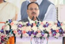 जेपी नड्डा का दावा: जहां-जहां एनडीए सरकार है, वहां विकास की गारंटी है