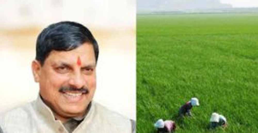 धनतेरस पर किसानों को बड़ा तोहफा! सरकार करेगी मुआवजे की धनवर्षा धनतेरस पर किसानों को बड़ा तोहफा! सरकार करेगी मुआवजे की धनवर्षा
