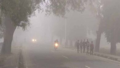 पहली ठंडी हवाओं ने दी दस्तक, इस साल पड़ सकती है कड़ाके की सर्दी!