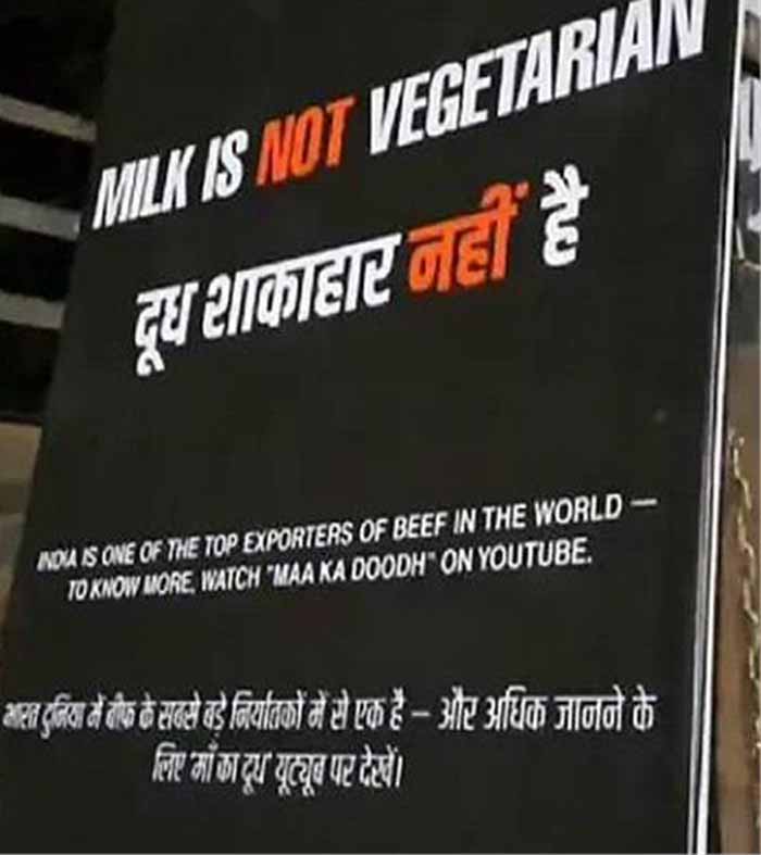 जबलपुर में दिवाली से पहले विवाद: ‘दूध शाकाहार नहीं’ पोस्टर लगाने वाले 3 युवक गिरफ्तार जबलपुर में दिवाली से पहले विवाद: ‘दूध शाकाहार नहीं’ पोस्टर लगाने वाले 3 युवक गिरफ्तार