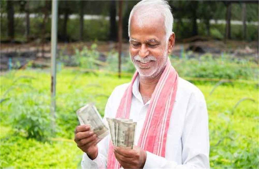 PM किसान योजना में बड़ा फर्जीवाड़ा! 44 हजार अपात्र परिवारों से वसूली की तैयारी PM किसान योजना में बड़ा फर्जीवाड़ा! 44 हजार अपात्र परिवारों से वसूली की तैयारी