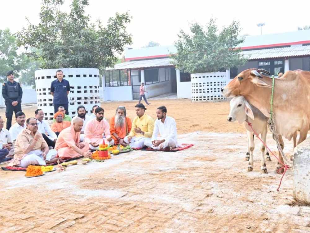 गोवर्धन पूजा पर सीएम योगी बने ‘गोपालक’, गायों को खुद खिलाया गुड़-रोटी गोवर्धन पूजा पर सीएम योगी बने ‘गोपालक’, गायों को खुद खिलाया गुड़-रोटी