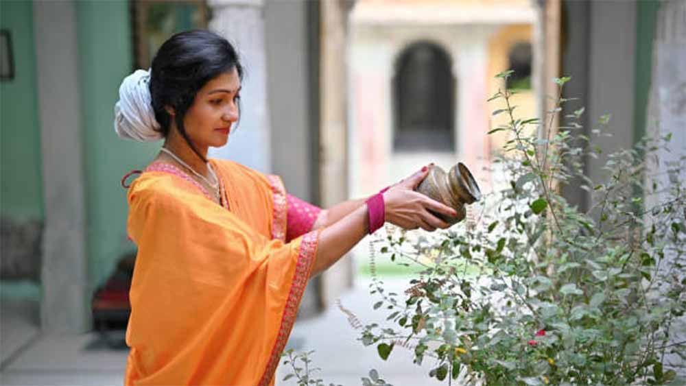 मोक्षदा एकादशी: तुलसी से जुड़े नियम भूलें नहीं, तभी मिलेगा व्रत का पूर्ण फल मोक्षदा एकादशी: तुलसी से जुड़े नियम भूलें नहीं, तभी मिलेगा व्रत का पूर्ण फल