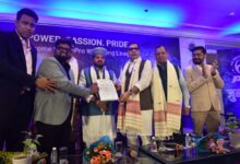 महिला क्रिकेट की सफलता के बाद, अब महिला कुश्ती पर भी ध्यान: प्रो रेसलिंग लीग भविष्य को नए सिरे से परिभाषित करने के लिए तैयार