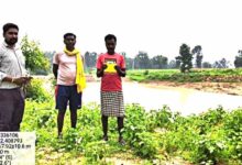 नवीन तालाब बना गांव की जीवनधारा