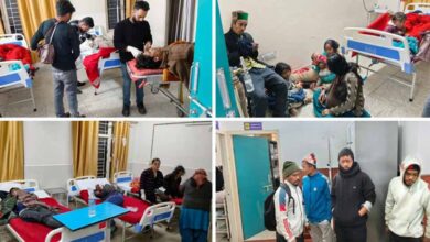 नारकंडा हादसा: खाई में गिरी टेंपो ट्रैवलर, 29 लोग घायल, 16 शिमला IGMC रेफर नारकंडा हादसा: खाई में गिरी टेंपो ट्रैवलर, 29 लोग घायल, 16 शिमला IGMC रेफर