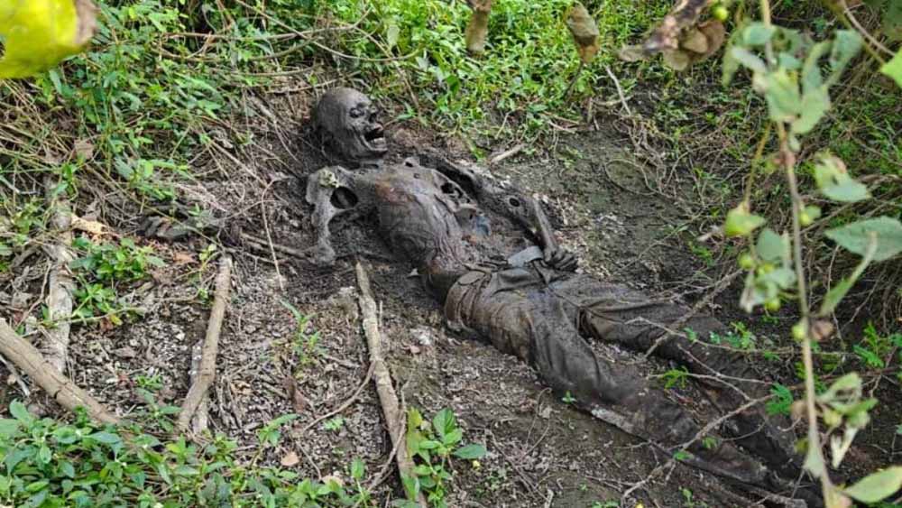 झाड़ियों में मिला नर कंकाल, पुलिस ने शिनाख्त प्रक्रिया की तेज झाड़ियों में मिला नर कंकाल, पुलिस ने शिनाख्त प्रक्रिया की तेज