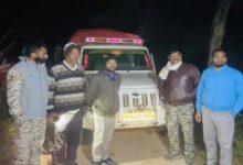 अवैध धान परिवहन पर बड़ी कार्रवाई: यूपी नंबर की 3 पिकअप से 210 बोरी जब्त, मालिक-चालकों पर FIR