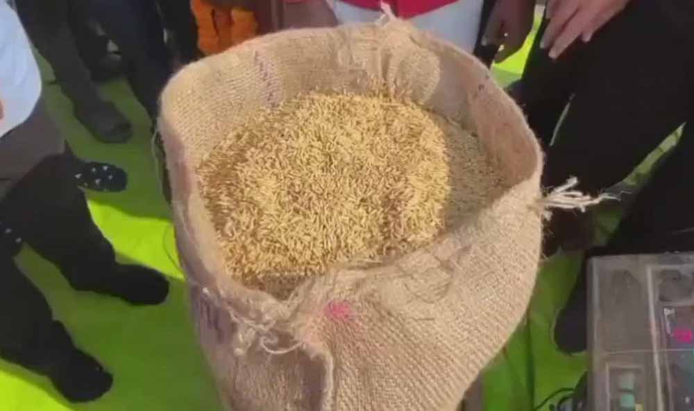 कवर्धा : धान उपार्जन 2025-26 : पहले दिन 306.8 क्विंटल खरीदी कवर्धा : धान उपार्जन 2025-26 : पहले दिन 306.8 क्विंटल खरीदी