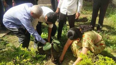 श्री शंकराचार्य प्रोफेशनल यूनिवर्सिटी में राज्य स्थापना की रजत जयंती पर 25 पौधे लगाए गए श्री शंकराचार्य प्रोफेशनल यूनिवर्सिटी में राज्य स्थापना की रजत जयंती पर 25 पौधे लगाए गए