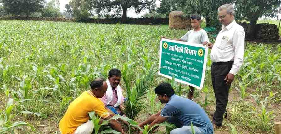 बंदूक की गूंज से फलों और फूलों की महक तक का सफर,बस्तर में साग-सब्जी, फलों की खेती से चमत्कारिक बदलाव