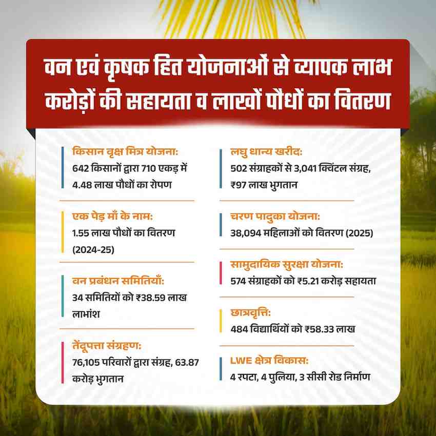 हरियाली से आर्थिक रूप से सशक्त हुए मोहला जिले के ग्रामीण,तेंदूपत्ता संग्रहण से 76 हजार 105 संग्राहक परिवारों ने 63 करोड़ 87 लाख रुपए से अधिक राशि की प्राप्त