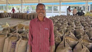 घर बैठे धान विक्रय का नया दौर: तुंहर टोकन ऐप से किसानों को मिली बड़ी राहत घर बैठे धान विक्रय का नया दौर: तुंहर टोकन ऐप से किसानों को मिली बड़ी राहत