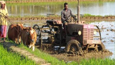 विशेष आर्टिकल- UP-AGREES प्रोजेक्ट: उत्तर प्रदेश में कृषि और ग्रामीण उद्यमिता को मजबूत करने की विश्व बैंक समर्थित क्रांति – विस्तृत जानकारी
