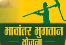 भावांतर योजना में आज 4036 रुपए प्रति क्विंटल का मॉडल रेट जारी