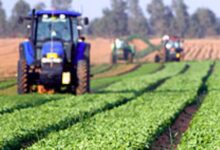 विशेष आर्टिकल- उत्तर प्रदेश में कृषि क्षेत्र का स्वर्णिम उत्थान: योगी सरकार की उपलब्धियां और किसानों की प्रेरक सफलता कहानियां