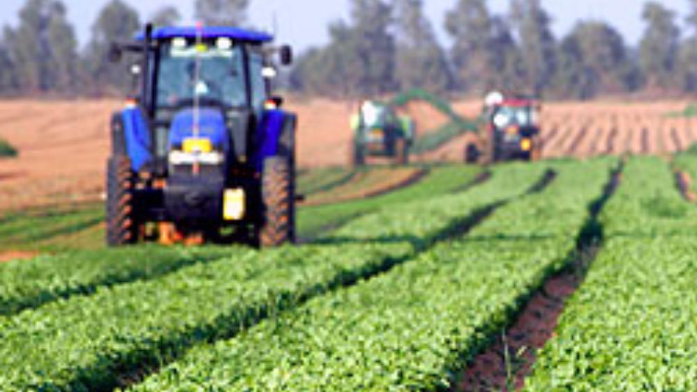 विशेष आर्टिकल- उत्तर प्रदेश में कृषि क्षेत्र का स्वर्णिम उत्थान: योगी सरकार की उपलब्धियां और किसानों की प्रेरक सफलता कहानियां विशेष आर्टिकल- उत्तर प्रदेश में कृषि क्षेत्र का स्वर्णिम उत्थान: योगी सरकार की उपलब्धियां और किसानों की प्रेरक सफलता कहानियां