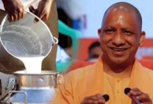 विशेष आर्टिकल- नंद बाबा दुग्ध मिशन: उत्तर प्रदेश में डेयरी क्रांति का नया अध्याय – किसानों की आय दोगुनी से आत्मनिर्भर ग्रामीण अर्थव्यवस्था तक