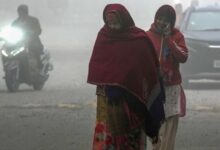 MP में शीतलहर की दस्तक: 23 जिलों में अलर्ट, 9 शहरों में पारा 10° से नीचे, राजगढ़ सबसे ठंडा