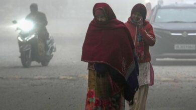 MP में शीतलहर की दस्तक: 23 जिलों में अलर्ट, 9 शहरों में पारा 10° से नीचे, राजगढ़ सबसे ठंडा MP में शीतलहर की दस्तक: 23 जिलों में अलर्ट, 9 शहरों में पारा 10° से नीचे, राजगढ़ सबसे ठंडा