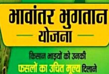 भावांतर योजना में आज बढ़कर 4077 रुपए मॉडल रेट जारी