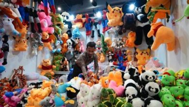 झांसी की वंदना के सपनों को ओडीओपी ने लगाए पंख, आईआईटीएफ में सॉफ्ट टॉयज की लगाएंगी प्रदर्शनी