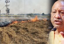 मुख्यमंत्री योगी के सख्त निर्देशों का असर, उत्तर प्रदेश में पराली जलाने की घटनाओं में आई उल्लेखनीय कमी