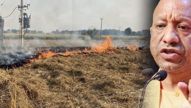मुख्यमंत्री योगी के सख्त निर्देशों का असर, उत्तर प्रदेश में पराली जलाने की घटनाओं में आई उल्लेखनीय कमी