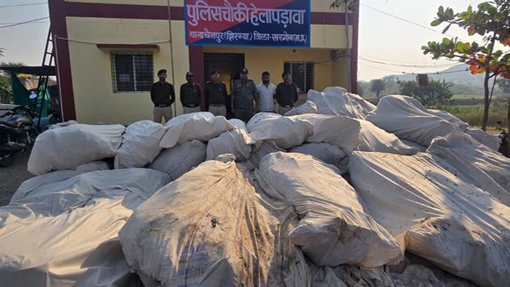 नशे के विरूद्ध खरगोन पुलिस की अब तक की सबसे बड़ी कार्रवाई पहाड़ी क्षेत्र में अवैध गांजा की खेती का भंडाफोड़