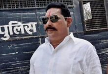 मोकामा में ‘छोटे सरकार’ की बड़ी जीत: जेल में रहकर अनंत सिंह 28 हजार वोटों से विजयी