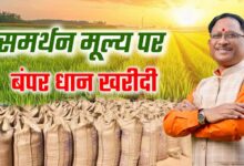 रायपुर : प्रदेश में 15 नवम्बर से समर्थन मूल्य पर धान खरीदी को लेकर तैयारियां पूरी