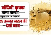 विशेष आर्टिकल- नंदिनी कृषक समृद्धि योजना: योगी सरकार का डेयरी सशक्तिकरण मॉडल – लाभों का विस्तृत विश्लेषण