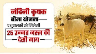 विशेष आर्टिकल- नंदिनी कृषक समृद्धि योजना: योगी सरकार का डेयरी सशक्तिकरण मॉडल – लाभों का विस्तृत विश्लेषण