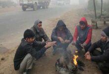 नवंबर में सर्दी का रिकॉर्ड: भोपाल में 7 रातें तापमान 9°C से कम, पारा 8°C तक पहुंचा