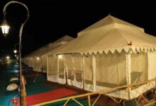 कूनो नेशनल पार्क में रोमांच जारी: आज से शुरू हो रहा दूसरा फॉरेस्ट रिट्रीट