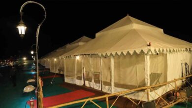 कूनो नेशनल पार्क में रोमांच जारी: आज से शुरू हो रहा दूसरा फॉरेस्ट रिट्रीट