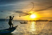 मछुआरों के लिए नई पहचान: अब क्यूआर कोड वाला ‘फिशर आईडी कार्ड’ अनिवार्य