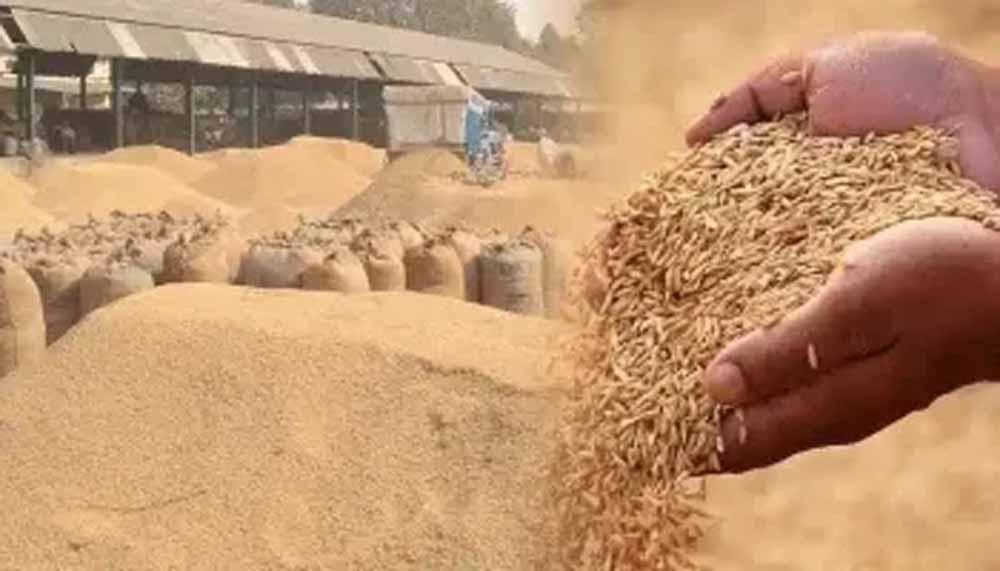 गौरेला पेंड्रा मरवाही : धान खरीदी के पहले दिन दो केंद्रों में आठ किसानों ने बेचा 506.80 क्विंटल धान गौरेला पेंड्रा मरवाही : धान खरीदी के पहले दिन दो केंद्रों में आठ किसानों ने बेचा 506.80 क्विंटल धान