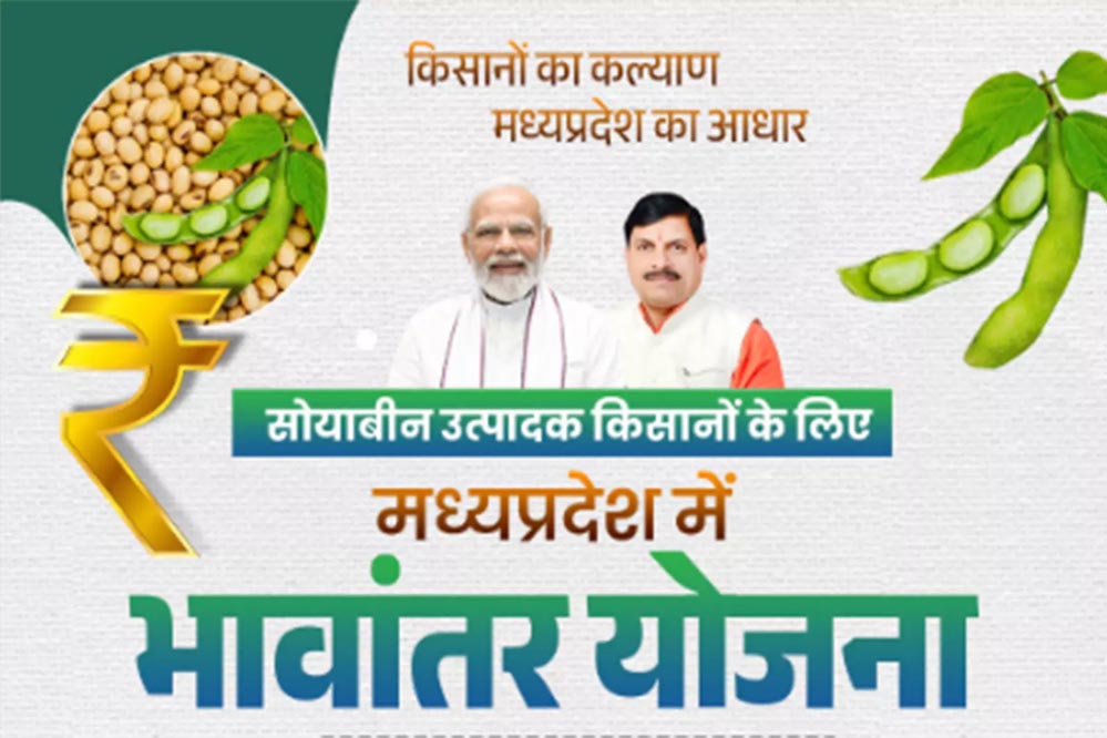 भावांतर योजना में सोयाबीन का मॉडल रेट बढ़कर हुआ 4267 रुपए