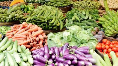 मध्य प्रदेश में सब्जियों की कीमतें बेकाबू, शहडोल में भिंडी 100 रुपये किलो तक मध्य प्रदेश में सब्जियों की कीमतें बेकाबू, शहडोल में भिंडी 100 रुपये किलो तक