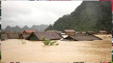 वियतनाम में बाढ़ का कहर: 67,700 से अधिक घर डूबे, अनाज और पशुओं पर भी संकट वियतनाम में बाढ़ का कहर: 67,700 से अधिक घर डूबे, अनाज और पशुओं पर भी संकट