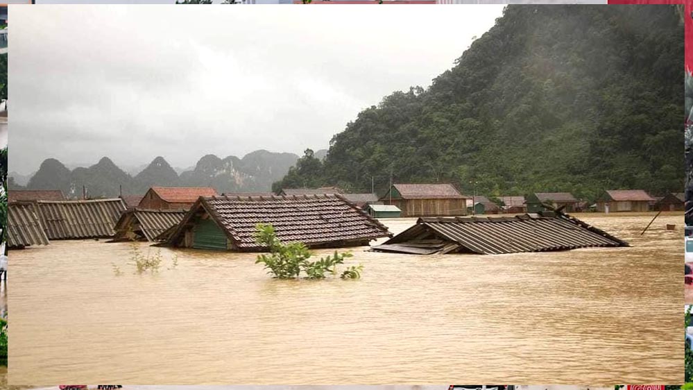 वियतनाम में बाढ़ का कहर: 67,700 से अधिक घर डूबे, अनाज और पशुओं पर भी संकट वियतनाम में बाढ़ का कहर: 67,700 से अधिक घर डूबे, अनाज और पशुओं पर भी संकट