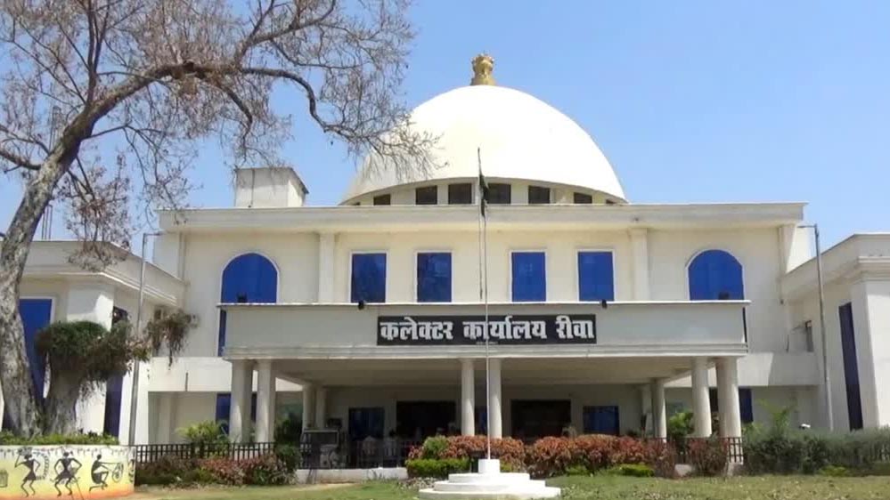 रीवा प्रशासन का खास ऑफर: बीएलओ और सरकारी कर्मचारियों को फ्री मूवी, डिनर और टाइगर सफारी टिकट रीवा प्रशासन का खास ऑफर: बीएलओ और सरकारी कर्मचारियों को फ्री मूवी, डिनर और टाइगर सफारी टिकट