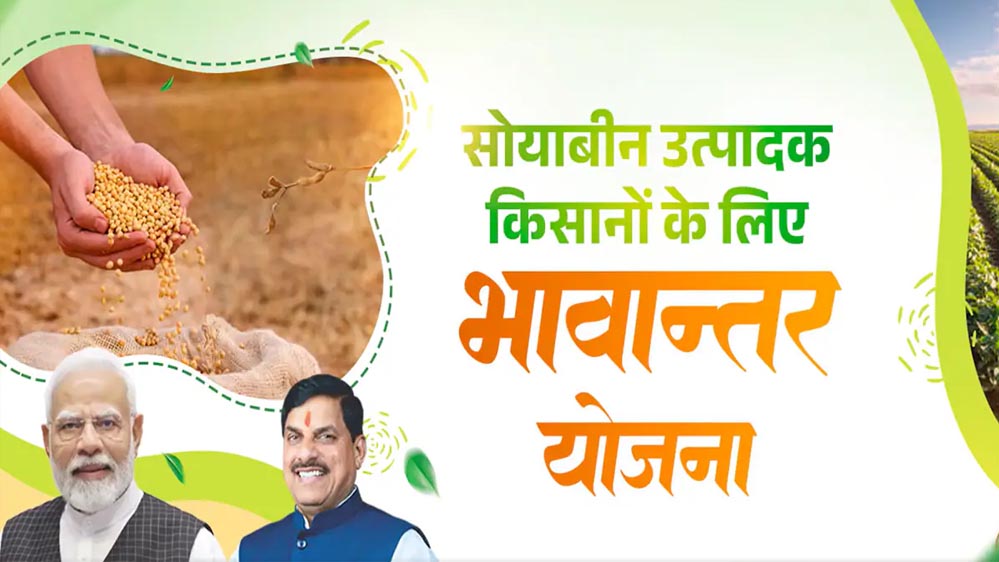 भावांतर योजना में सोयाबीन का मॉडल रेट बढ़कर हुआ 4271 रुपए भावांतर योजना में सोयाबीन का मॉडल रेट बढ़कर हुआ 4271 रुपए