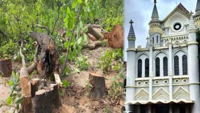 MP हाईकोर्ट का आदेश: बिना अनुमति कोई भी पेड़ नहीं काटा जाएगा, ‘ग्रीन कवर नष्ट करना विनाश है MP हाईकोर्ट का आदेश: बिना अनुमति कोई भी पेड़ नहीं काटा जाएगा, ‘ग्रीन कवर नष्ट करना विनाश है