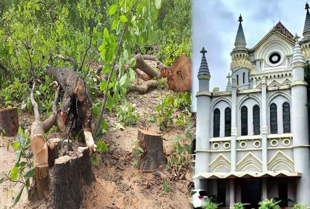 MP हाईकोर्ट का आदेश: बिना अनुमति कोई भी पेड़ नहीं काटा जाएगा, ‘ग्रीन कवर नष्ट करना विनाश है