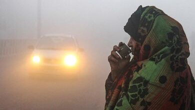 मध्यप्रदेश के 7 शहरों में ठंड का कहर, पारा 10°C से नीचे; 2 दिन बाद आएगी और सर्दी मध्यप्रदेश के 7 शहरों में ठंड का कहर, पारा 10°C से नीचे; 2 दिन बाद आएगी और सर्दी